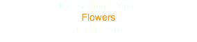 The Rolling Stones
Flowers
Jun 26 1967