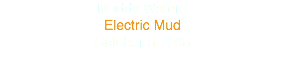 Muddy Waters
Electric Mud
October 5 1968