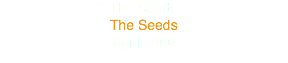 The Seeds
The Seeds
April 1966